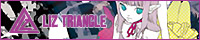 Liz triangle banner.jpg