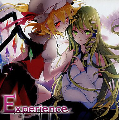 文件:Experience（Elemental Records）封面.jpg