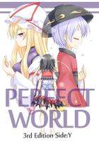 PERFECT WORLD 3rd Edition Side:Y
