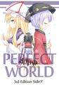 PERFECT WORLD 3rd Edition Side:Y ジャケット画像