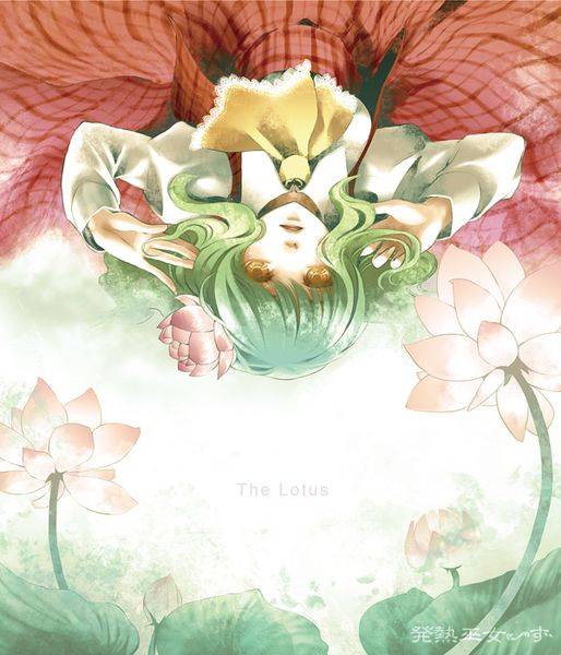文件:The Lotus封面.jpg
