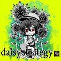 daisy strategy 封面图片