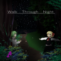 Walk Through Night