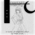 moonlight insanity 封面图片