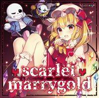 scarlet marrygold