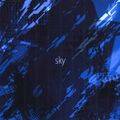 sky (pre-distribution) 封面图片