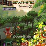 Downtime Sessions - Toho Dub封面.jpg