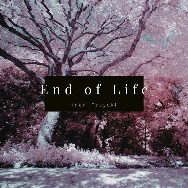文件:End of Life封面.jpg