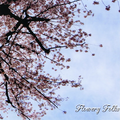 Flowery Folks Cover Image