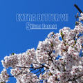 EXTRA BITTER Ⅶ 封面图片