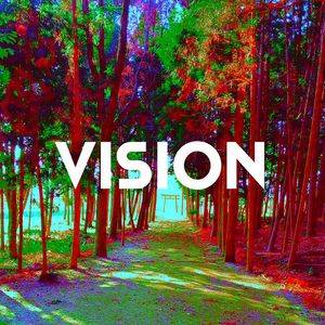 VISION（2013）封面.jpg