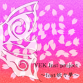 YEK Inst project～feat.妖々夢～ 封面图片