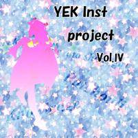 YEK Inst Project VOL.Ⅳ