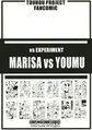 MARISA VS YOUMU 封面图片
