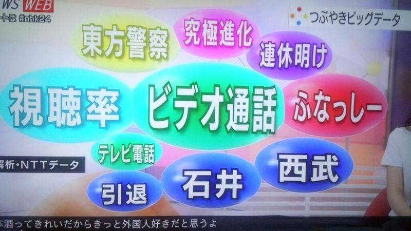 文件:东方警察（NHK报告）.jpg
