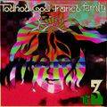 Touhou Goa Trance Family Vol.3 封面图片